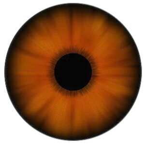 uEACJ{[VKXp[c 12mm 16mm 18mm 20mm 25mm ANZT[ sAX y_g gbv w lC fR[V  X}z Ntg DIY nhCh J{V h[ l`