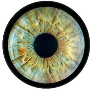 NR_CACJ{[VKXp[c 12mm 16mm 18mm 20mm 25mm ANZT[ sAX y_g gbv w lC fR[V  X}z Ntg DIY nhCh J{V h[ 