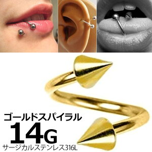 [ 14G {fBsAX bL ] S[h R[ XpCN XpCo[x cCXgo[x 14Q[W 14GA T[WJXeX316L Y fB[X XN[ XNE lW ւ 