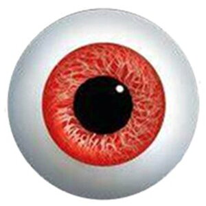 Ԗ ACJ{[VKXp[c 12mm 16mm 18mm 20mm 25mm 30mm ANZT[ sAX fR[V Ntg DIY nhCh OXAC J{V h[ l`̊ ʂ݂̖ H 