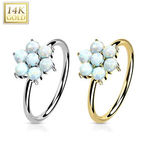 [ K14 O^ {fBsAX 20G ] 14Ip[t[V[XO 20Q[W 14K VR  {̋  m[YO @sAX sAX wbNX gKX Y fB[X v