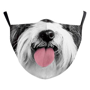 [NV[eA }XN 1 Ck hbO  U ViEU[   ybgVbv  Cxg Aj}   \ p[eB[ObY  ߑ ϑ  RXv 