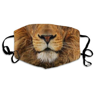 CI }XN 1 炢 Sb̉ ~[WJ ybgVbv Cxg Aj}  X^bt \ p[eB[ObY  ߑ ϑ  RXv ]  ʔ nEB