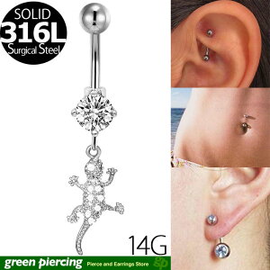 [14G J[uo[x {fBsAX] pxU[h `[ ւsAX 14Q[W w\sAX `sAX Y fB[X {fB[sAX T[WJXeX316L WRjA NX^ h