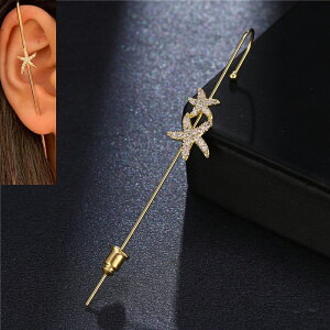 X^[tBbVNX^cCXgC[N[[tbN 1 XebLC[Jt Ўp C[tbN Y fB[X  C[bv C_XgA  S[h F