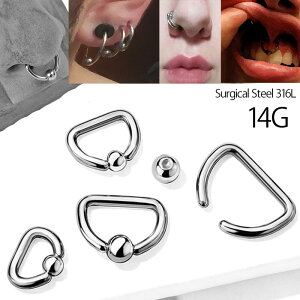 [14G 14g 14Q[W] D^ CBR {fBsAX 1̔ Y fB[X WF_[X j   T[WJXeX316L {fB[sAX O^ LveBuO Zv^ jbv