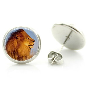 14mm J{VsAX (Tt@CI) 1yA  Sb̉ Lbg lR L 炢  Aj} AtJ ی^ ۂ J{[V 20G 20Q[W 20g t@bVsAX X^bhsA