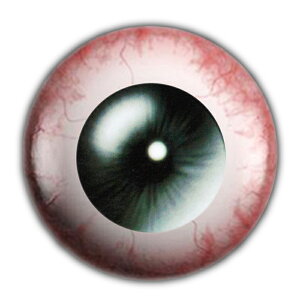 A OXAC h[ACJ{[VKXp[c 8mm 10mm 12mm 20mm 25mm ANZT[ sAX fR[V Ntg DIY nhCh J{V h[ l`  ʂ  H 