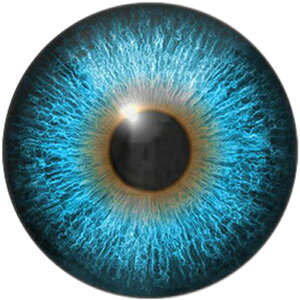 u[u[AC ACJ{[VKXp[c 12mm 16mm 18mm 20mm 25mm 30mm ANZT[ sAX fR[V Ntg DIY nhCh J{V h[ l`̊ ʂ݂̖ H 