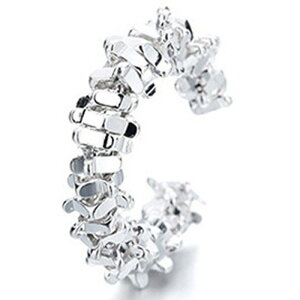 ~[bN C[Jt 1 mz[sAX Y fB[X CO F Vo[  ގ ޏ v[g Ў  wbNX tFCNsAX  I p[eB