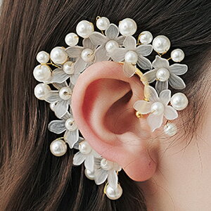 zCguC_t[p[C[tbN E 1  ^ ANr[Y  ߑ f Be G ɂ mz[sAX JȂ CO C[Jt Y f