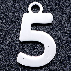  5 XeXp[c/1̔ io[ T[WJXeX316L F Vo[ lC y_g gbv p[c sAX ANZT[ `[ DIY Y fB[X i   