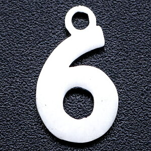  6 XeXp[c/1̔ io[ T[WJXeX316L F Vo[ lC y_g gbv p[c sAX ANZT[ `[ DIY Y fB[X i   