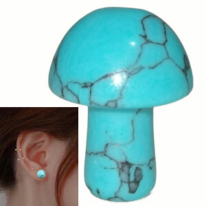 [0G 8mm VR {fB[sAX] }bV[VR΃vO(^[RCY) {fBsAX 1̔ AM[Ή Y fB[X _utA   p[Xg[ v[g lC