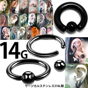 [14G {fBsAX] ubNLveBur[YO 1̔ 14Q[W 14g {fB[sAX T[WJXeX316L F Y fB[X lC  wbNX gKX ubN`^ 