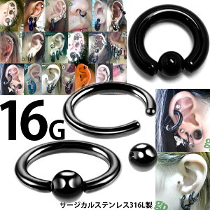 [16G {fBsAX] ubNLveBur[YO 1̔ 16Q[W 16g {fB[sAX T[WJXeX316L F Y fB[X lC  wbNX gKX ubN`^ 