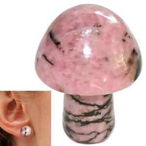 [0G 8mm VR {fB[sAX] }bV[VR΃vO([hiCg) {fBsAX 1̔ AM[Ή Y fB[X _utA   p[Xg[ v[g l