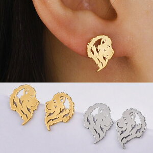 Sb̉CIXeXsAXi1yAj  Aj}sAX  T[WJXeX316L Y fB[X 20G 20Q[W   Lb`sAX X^bhsAX Vo[ S[h 