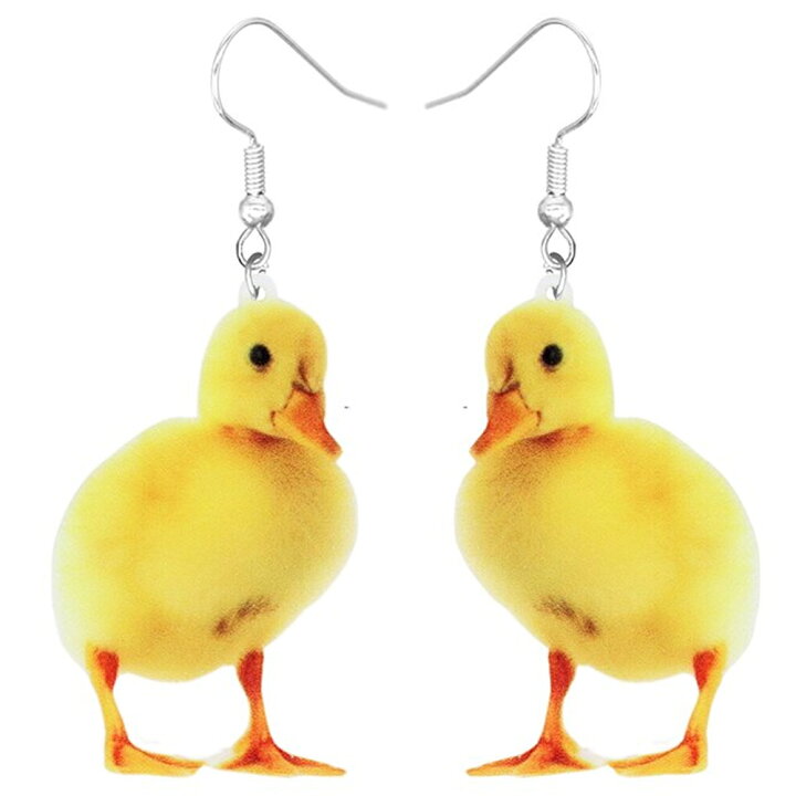 楽天市場】アヒルのヒナ リアルステンレスピアス/1ペア販売 20G 20 