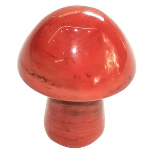 [0G 8mm VR {fB[sAX] }bV[VR΃vO(bhWXp[) {fBsAX 1̔ AM[Ή Y fB[X _utA   p[Xg[ v[