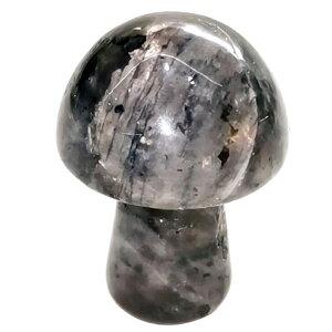 [0G 8mm VR {fB[sAX] }bV[VR΃vO(ubNuhCg) {fBsAX 1̔ AM[Ή Y fB[X _utA   p[Xg[ v