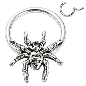 [ 16G O^ {fBsAX] XpC_[ NbJ[ XeX ZOg 16Q[W {fB[sAX   w N V sC   3D 낢 ʔ @sAX Zv^ 