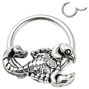 [ 16G O^ {fBsAX] XR[sI NbJ[ XeX ZOg 16Q[W {fB[sAX   T\ A  嶍  3D 낢 ʔ @sAX Zv^ 