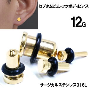 [12G {fBsAX] S[h Zv^rbc {fB[sAX 1̔ Y fB[X 12Q[W F Vv tbg vO eی^  C[u  wbNX RN _CX g