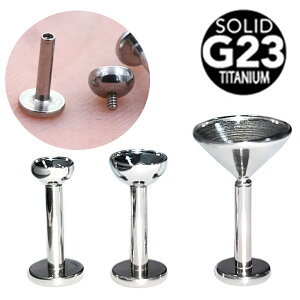 [DIYp Ζ 16G {fBsAX] `^ێM tlWubgX^bh 1̔ {fB[sAX 16Q[W G23 `^O[h23  Ntg nhCh ō WRjA Xg[ 