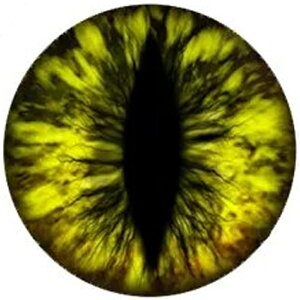 CG[hSACJ{[VKXp[c 12mm 16mm 18mm 20mm 25mm 30mm ANZT[ sAX CO lC fR[V  X}z Ntg DIY nhCh  낢 ʔ