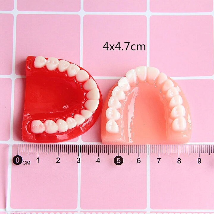 楽天市場】入れ歯 アクリルパーツ 1個 穴あき 丸穴 歯科衛生士 歯医者  