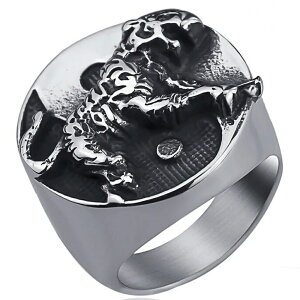 ^CK[AzXeXOiERN041jTCY/30 傫TCY  g Aj}  ɐ} x  яo  ^ X^vO ʔ w T[WJXeX316L