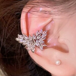 OWA[o^tCC[Jt 1̔ Vo[ F WRjA Xg[ WG `E`E X NX^ LL px CJt pF C[Nbv mz[sAX