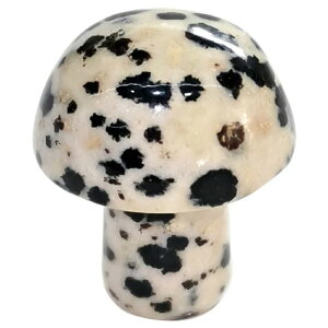 [0G 8mm VR {fB[sAX] }bV[VR΃vO(_VAWXp[) {fBsAX 1̔ AM[Ή Y fB[X _utA   p[Xg[ v