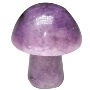 [0G 8mm VR {fB[sAX] }bV[VR΃vO(AWXg) {fBsAX 1̔ AM[Ή Y fB[X _utA   p[Xg[ v[g lC