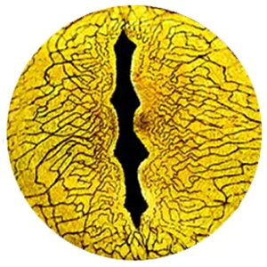 AQ[^[ACJ{[VKXp[c 12mm 16mm 18mm 20mm 25mm 30mm ANZT[ sAX CO lC fR[V  X}z Ntg DIY nhCh  J{V h[ 