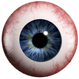 ubhu[ACJ{[VKXp[c 12mm 16mm 18mm 20mm 25mm 30mm ANZT[ sAX CO lC fR[V  X}z Ntg DIY nhCh  J{V h[