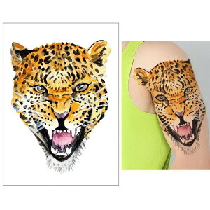 傫߃tFCN^gD[XebJ[ 1V[g qE ^ p[h  tFCX  Aj} L Lbg ybg   ^gDV[ Y fB[X  n  RXv