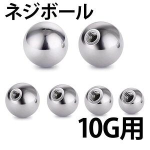 [10Gp {fBsAX lWp[c] XeX˂{[ 10Q[W  傫   Lb` T[WJXeX316L lW lW^Cv XN[ o[xp T[L[p u