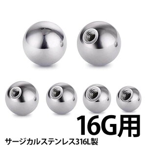 [16Gp {fBsAX lWp[c] XeX˂{[ 16Q[W  傫   Lb` T[WJXeX316L lW lW^Cv XN[ o[xp T[L[p u