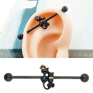 [14G Oo[x Xg[go[x {fBsAX] ubNyALbg C_XgA {fB[sAX 14Q[W 14g Y fB[X T[WJXeX316L Ko[x 