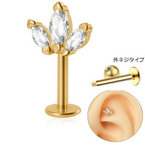 [16G {fBsAX fUC] tgTCh ubgX^bh iS[h/gv[tWGj 1̔ 16Q[W Y fB[X T[WJXeX316L jq q j 