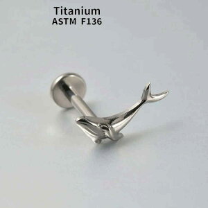 [ 16G ���i�� ASTM F136 G23 �{�f�B�s�A�X ��������] �N���X�^���`���[���`�^�����u���b�g 16�Q�[�W �{�f�B�[�s�A�X ���l�W �t�l�W �C���^�[�i�� �j�b�P���t���[ �����Y ���f�B�[�X ���� �t���b�g 