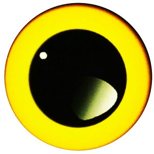 t@j[ OXAC h[ACJ{[VKXp[c (CG[) 8mm 10mm 12mm 20mm 25mm ANZT[ sAX fR[V Ntg DIY nhCh J{V h[ l`  ʂ