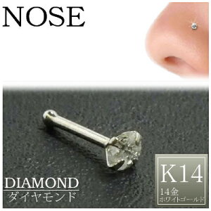 ピアス ダイヤ K14WG」の人気商品一覧 | 安い商品を通販サイトから探す 