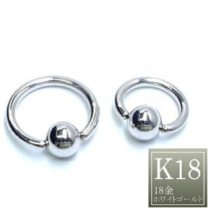 mK18W  O^ 16Gn18 LveBur[YO 16Q[W zCgS[h {fBsAX {̋ Y fB[X  v[g   ւ t@[XgsAX Mtg 