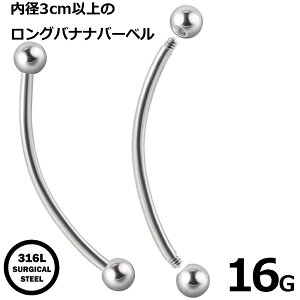 [16G OlW a3cmȏ ] Ooiio[x 16Q[W T[WJXeX316L J[uo[x {fBsAX Y fB[X ւsAX w\sAX `sAX T[tFCX lW