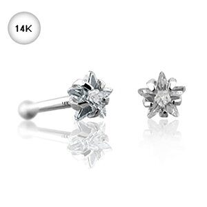 [ 20G @sAX WRjA K14WG ] 14 CX^[WG zCgS[h m[YX^bh 1̔iBEANSR[hFGDWO-05jm[Ys ͂ȃs @s Y fB[X  {̋ 