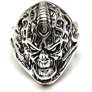 OCgXJ Vo[O TCY/22/23/24/34 󂠂 Vo[925 X^[OVo[ w Y fB[X v[g  hN [  KCRc ǂオ