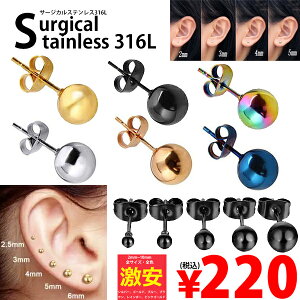 {[XeXsAX 1̔ Y fB[X T[WJXeXsAX316L ۋ 20G t@[XgsAX   20Q[W {[sAX ubN S[h sNS[h u[